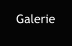 Galerie